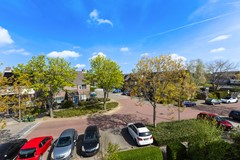 Scholekster 41_43.jpg